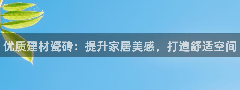 杏鑫代理注册资金多少